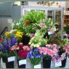 Joseph's Florist