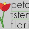 Petals & Stems Florist