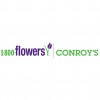 Conroy's Flowers